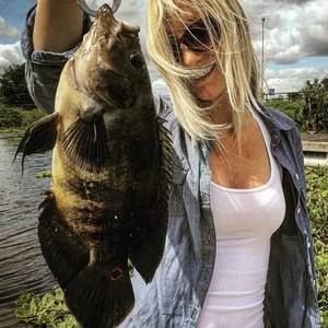 Meet your Posher, Lyndsay